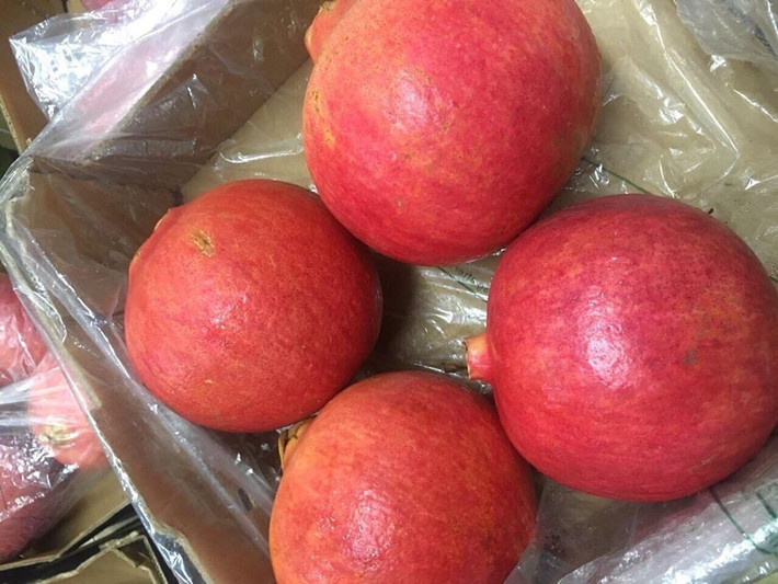 Trung bình, mỗi quả lựu Peru nặng khoảng 600 - 700g. Ảnh: FB Xuan Thu Dang.