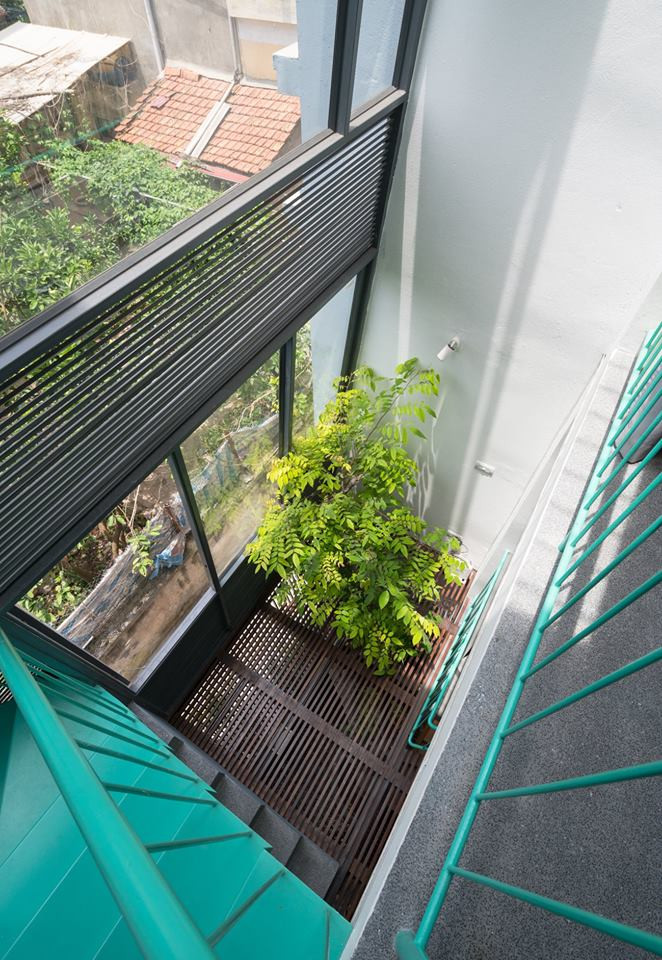 Cây xanh như một điểm nhấn cho không gian nhà phố 3 tầng.