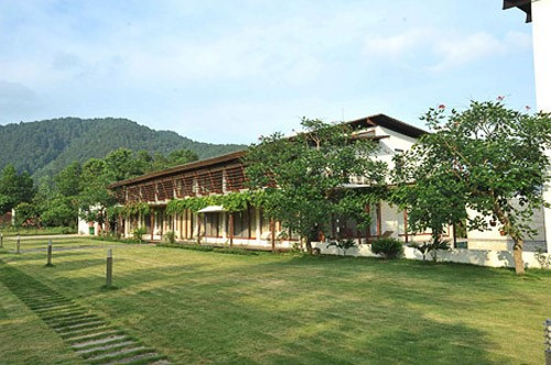 Khu nhà nằm giữa khuôn viên xanh mướt, với thiết kế không gian mở gần gũi với thiên nhiên. Ảnh: NLĐ.