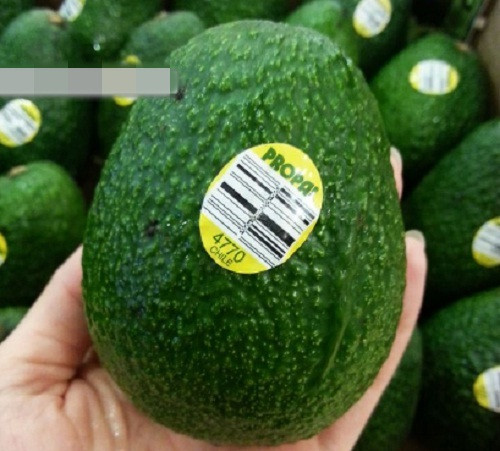Bơ ủ chín 2 ngày thì rất dễ dàng lột vỏ quả, chế biến thành bất cứ món sinh tố hay salad nào cũng rất thơm ngon. Ảnh: VinFruits.