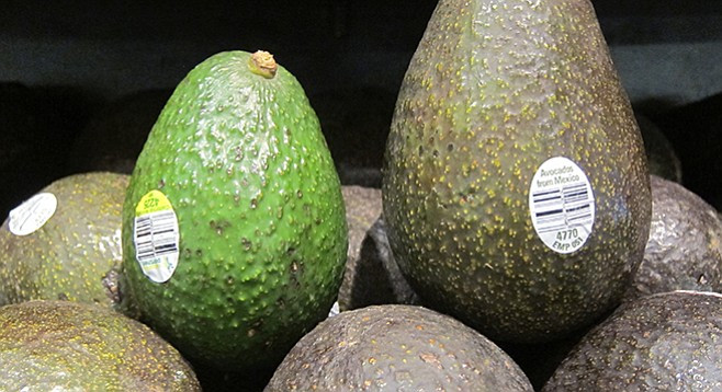 Theo một số cửa hàng trái cây nhập khẩu, bơ nhập khẩu nói chung và bơ Chile nói riêng được ưa chuộng bởi thường được tuyển chọn, quả nào cũng đều. Ảnh: Traicayngon.