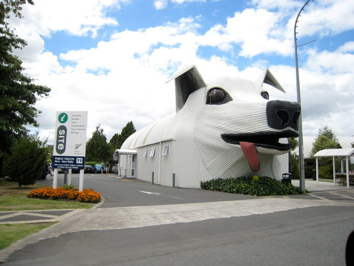 Tòa nhà hình cún cưng ở thị trấn Tirau (New Zealand) là trung tâm thông tin du lịch.