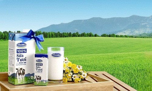 Đứng đầu dánh sách thương hiệu đắt giá nhất Việt Nam năm 2018 là Vinamilk với 2,27 tỷ USD. Hơn 40 năm phát triển, Vinamlik là doanh nghiệp hàng đầu của ngành công nghiệp chế biến sữa, hiện chiếm lĩnh 54,5% thị phần sữa nước. Ảnh: Vinamilk.