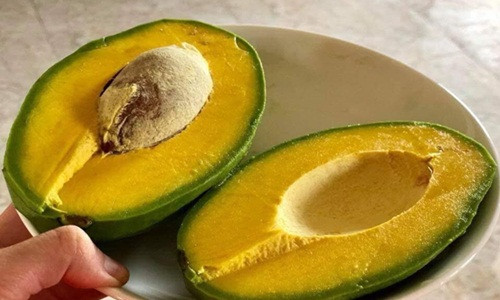 Đặc biệt, cơm bơ cứng có thể nạo, thái nên chế biến được các món ăn khác nhau như salat, gỏi...Ảnh: FB Đặng Xuân Hồng Anh.