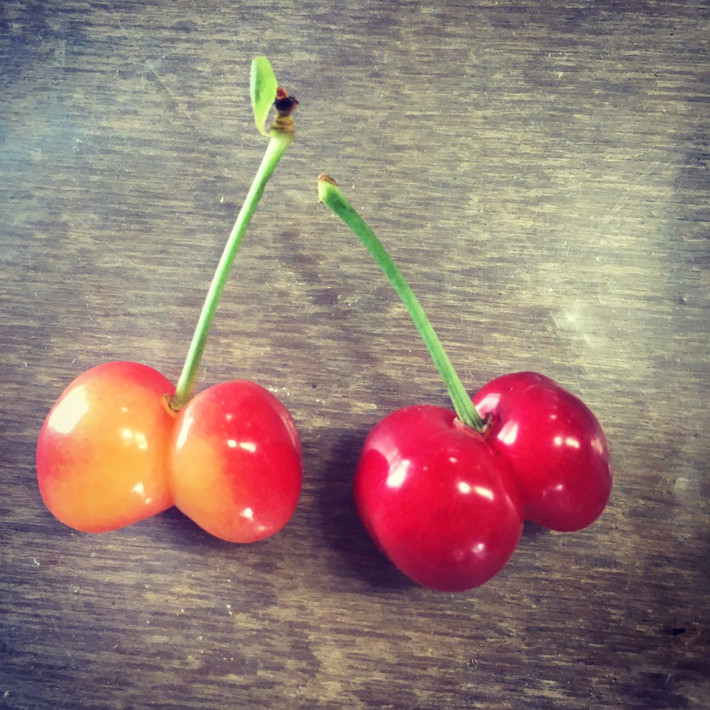 Quả cherry Sato Nishiki Nhật Bản có vỏ căng mọng màu sáng, phần thịt quả màu kem. Ảnh: Twitter.