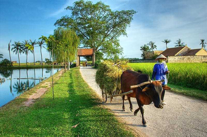 Dịp nghỉ lễ 2/9 vào ngày giữa tuần (thứ tư), thời gian nghỉ không nhiều nên những điểm du lịch 2/9 không quá xa thành phố là ưu tiên hàng đầu của mọi người. Cách Hà Nội khoảng 44km, làng cổ Đường Lâm (Sơn Tây) có thể là điểm đến thú vị cho người yêu thích nét đẹp bình dị làng quê. Trung bình chuyến đi trong ngày chỉ mất khoảng trên dưới 300.000 đồng/người.