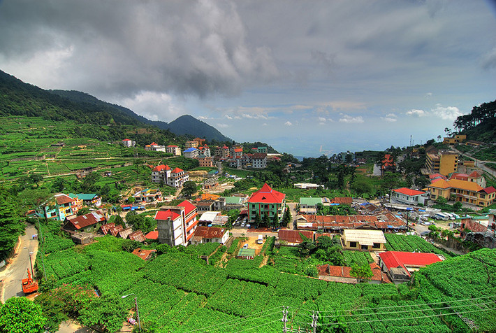 Tam Đảo (Vĩnh Phúc) cũng là lựa chọn lý tưởng cho những ai muốn thay đổi không khí ngày nghỉ lễ.