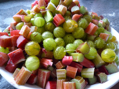 Từng được các trang trại tại Anh trồng 2000 giống Gooseberry khác nhau những năm 1600, hiện giờ, loại quả này còn lại 7 giống được trồng và canh tác với mục đích thương mại. Chúng đang có nguy cơ biến mất khỏi nhiều cửa hàng thực phẩm do sự cạnh tranh của các giống quả việt quất, dâu tây.