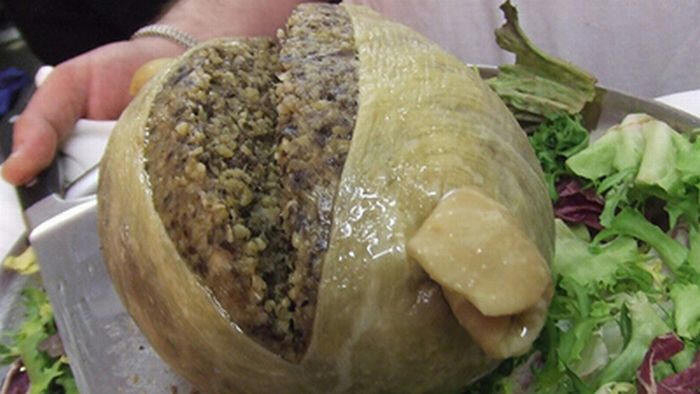 Khi thưởng thức, những con giòi còn sống ngoe nguẩy và nhảy cao hơn 15 cm trong miếng phô mai. Để được ăn Casu marzu, thực khách phải chi đến hàng trăm đô la.