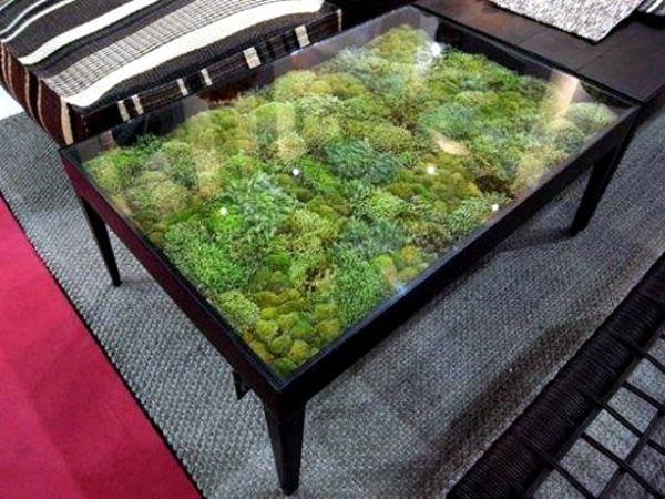 Trồng rêu, cỏ cho chiếc bàn cũng là một ý tưởng hay, trang trí đồ nội thất theo cách riêng của bạn.