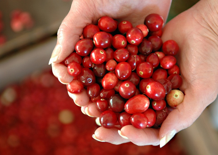 Cũng giống như quả mâm xôi đen, quả việt quất Cranberry chứa chất chống ôxy hóa cao hơn hẳn các loại quả khác. Do đó, chúng rất được ưa chuộng.