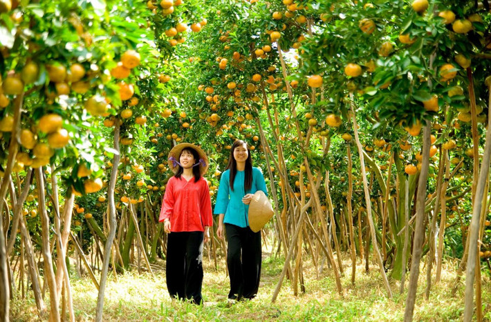 Các tour nội địa khuyến mại để hút khách dịp nghỉ lễ. Tour 2 ngày 1 đêm, khởi hành từ TP HCM đi Cần Thơ khuyến mại còn gần 1 triệu đồng/người.