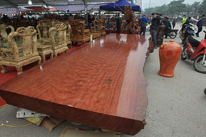 Trưng bày tại Hội chợ sinh vật cảnh ở Quảng trường Sân vận động Mỹ Đình (Hà Nội) hồi đầu năm 2018, chiếc sập gỗ Cẩm Lai dài 6.6m, rộng 2m và dày 20cm thu hút đông đảo sự chú ý của khách tham quan. Ảnh: Dân Việt.