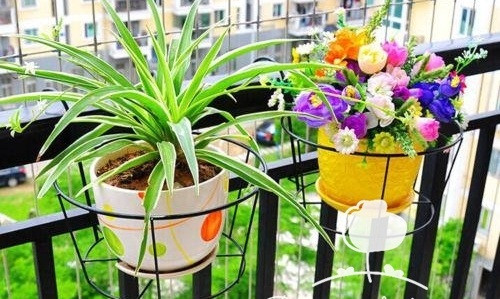 Chọn kích thước và màu sắc không phù hợp. Phối màu luôn là một trong những việc khó ngay cả với các nhà thiết kế chuyên nghiệp. Màu sắc mang lại cảm xúc cho con người. Vì vậy, sử dụng bình hoa, màu sắc hoa hài hòa sẽ giúp gia chủ thực sự thư giãn ngoài ban công. Ảnh: Bancongnhadep.