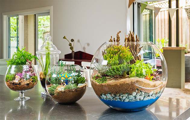 Không nên trồng quá nhiều cây sẽ không đẹp và có không gian cho cây phát triển. Ảnh: Homedit.
