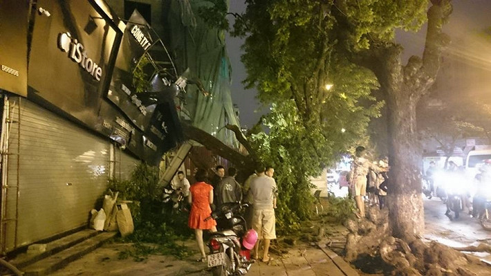 Đây không phải lần đầu có tình trạng cây đổ đè sập nhà dân sau những trận bão lớn. Cây đổ đã làm hư hại đến phần mái, tường và biển hiệu quảng cáo bên ngoài ngôi nhà. Rất may, vụ tai nạn này không có thương vong về người. Nguồn ảnh: VTC.