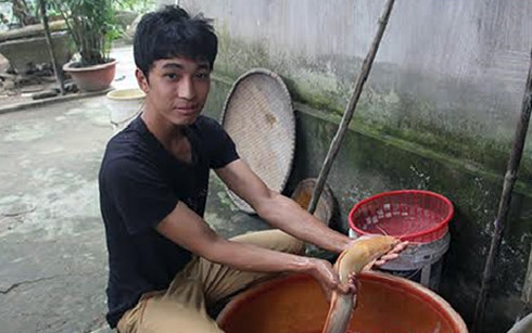 Con cá trê nặng khoảng 1kg, dài 60cm. Điểm khác biệt độc đáo của con cá này là lớp da màu vàng óng. Đây là lần thứ 3 các cần thủ Việt câu được loại cá độc lạ như thế này.
