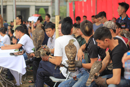 Hội thi huấn luyện chim săn mồi ngày nay được rất nhiều người yêu thích. Theo một số người chơi, việc sở hữu một con chim săn mồi hiện nay không quá khó và đắt đỏ như trước kia. Trung bình, đối với những loài chim ưng và cắt nhỏ giá khoảng từ 1 - 3 triệu đồng mỗi con.