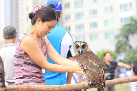 Khá nhiều người đến hội thi chim săn mồi Hà Nội thích thú với các loại chim ở đây.