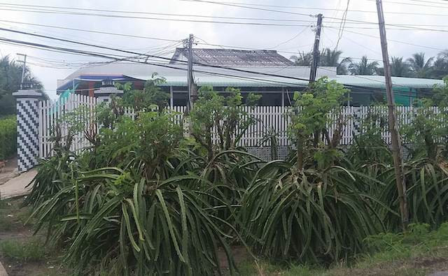 Ngày 8/11, báo Công an nhân dân có đưa tin, công an huyện Chợ Gạo (tỉnh Tiền Giang) xác nhận trên địa bàn huyện vừa xảy ra một vụ uống thuốc diệt cỏ khiến bà Trần Thị Phượng (43 tuổi) và hai con ruột cùng tử vong. Theo người dân địa phương, nạn nhân là chủ hụi đã hơn 7 năm nay. Gần đây, bà này được phát hiện bể hụi gần 1 tỷ đồng. Nhiều người cho rằng bà Phượng tự tử vì vỡ hụi. Ảnh căn nhà nơi vừa xảy ra sự việc thương tâm. Nguồn ảnh: Công an nhân dân.
