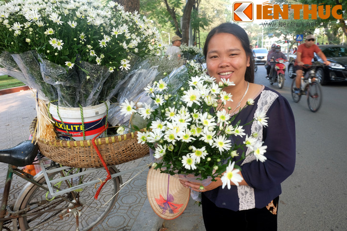 30 năm bán hàng hoa ở Hà Nội, người phụ nữ này bao giờ cũng ưu ái chọn cúc họa mi để bán. Chị chia sẻ: "Năm nay, trận bão vào Hà Nội khiến nhiều luống hoa bị gãy đổ nên hoa ít hơn mọi năm chút ít".