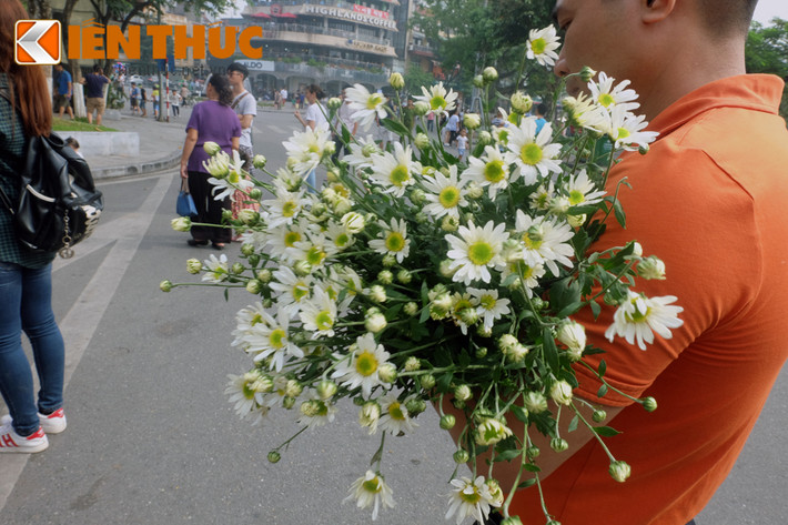 Hay tranh thủ mùa hoa để lưu lại những bức hình tuyệt đẹp bên cúc họa mi....