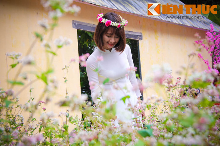 Trong khuôn khổ sự kiện "Không gian văn hóa dân tộc Mông Hà Giang tại Hà Nội" diễn ra từ 10 -13/11, người dân thủ đô đã được ngắm những bông hoa tam giác mạch Hà Giang trên phố đi bộ bờ hồ Hoàn Kiếm.