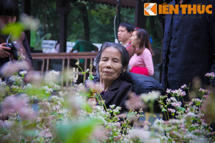Với nhiều người dân, đây là lần đầu tận mắt nhìn thấy loài hoa núi rừng này.