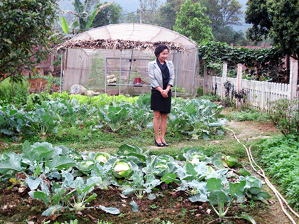 Nữ ca sĩ Mỹ Linh cũng dành một khoảng đất rộng lớn trong khuôn viên biệt thự ở Sóc Sơn (Hà Nội) để tự trồng rau sạch.