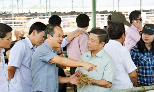 Theo báo cáo của Sở NN&PTNT Hà Tĩnh, sau bước đầu tiến hành khảo sát 8.269 ha thuộc 3 huyện: Hương Khê, Cẩm Xuyên, Kỳ Anh, chỉ có 5.669 ha có thể đưa vào thực hiện dự án.