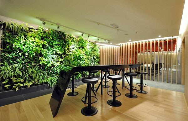 Khoảng không với nhiều loại cây xanh độc, lạ sẽ tạo điểm nhấn cho ngôi nhà, nhất là nhà đô thị thiếu sân vườn.