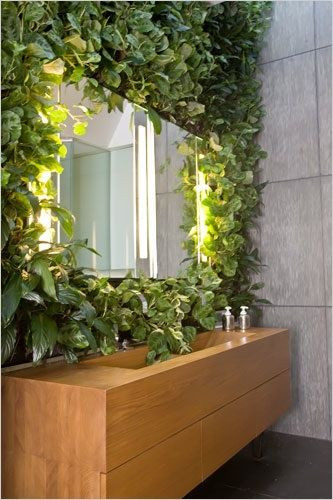 Đồ nội thất trong nhà bớt vẻ đơn điệu, khô cứng nhờ dây leo. Đồng thời, sự kết hợp này tạo thành bức tranh đẹp mắt.