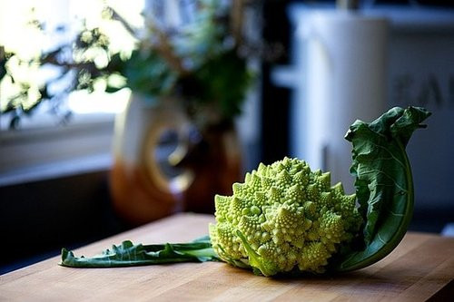 Một số khách hàng chia sẻ tìm hạt giống về trồng do thích thú hình dáng độc, lạ của cải san hô.
