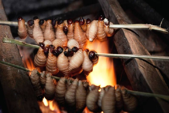Đuông có thể chế biến các món nướng, xào thậm chí chấm mắm ăn sống. Với nhiều người đây là món khoái khẩu, nhưng một số người thấy đuông khá "kinh dị".