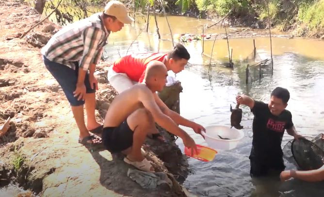 Trong lúc bắt cá trên bờ ruộng, nhóm thanh niên ở huyện Châu Thành, An Giang bắt được con rùa lạ có hình dạng khác thường.