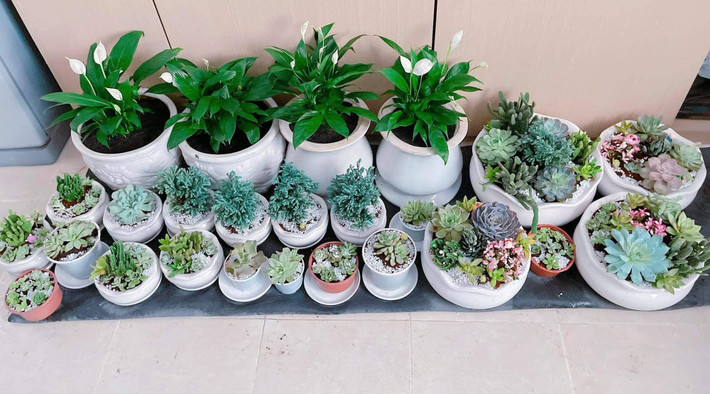 Từng góc trong biệt thự đều được người đẹp chăm chút cẩn thận.