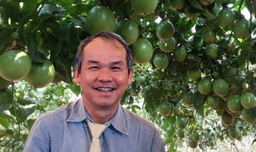 Bầu Đức bắt đầu lấn sân sang lĩnh vực nông nghiệp từ cuối năm 2012 với cao su và cây tràm. Sau đó, bầu Đức chuyển sang trồng ớt đến mít, chanh dây, thanh long... lấy cây này nuôi cây kia song cũng chưa đạt kết quả như mong đợi. Ảnh: Baogialai