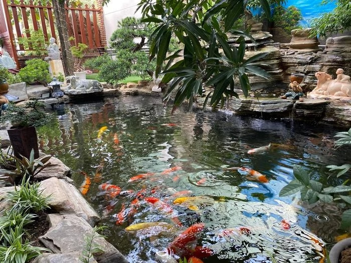 Biệt thự có diện tích 315 mét vuông được nam ca sĩ chi 1 tỷ đồng để xây hồ cá Koi. Ảnh: FBNV