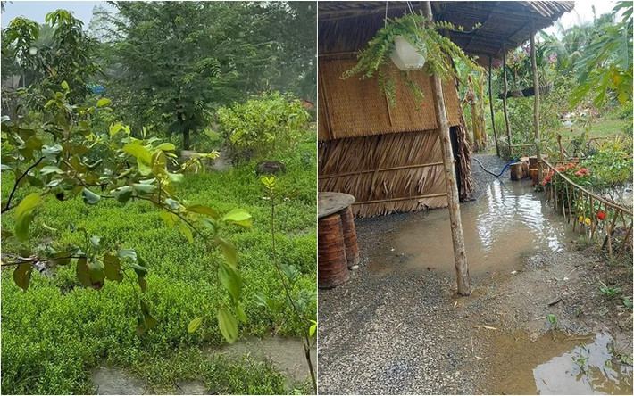 Mới đây, tài tử Huỳnh Anh Tuấn chia sẻ cảnh chòi lá của mình ngập nước khi trời mưa to.