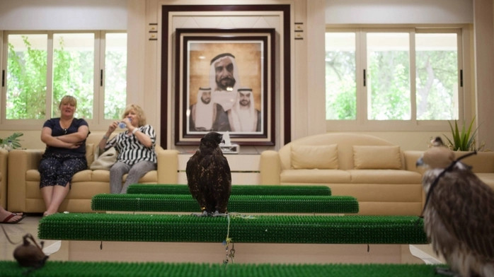 Thủ đô Abu Dhabi của Các tiểu vương quốc Ả Rập thống nhất (UAE) còn có cả bệnh viện dành riêng cho chim ưng. Bệnh viện Chim ưng Abu Dhabi được xem là bệnh viện dành riêng cho chim ưng lớn nhất và hiện đại nhất thế giới. Ảnh: Nwptv