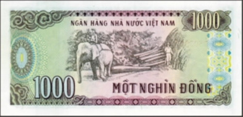 Trên tờ 1000 đồng là hình ảnh người lao động cưỡi voi khai thác gỗ tại Tây Nguyên. Ảnh: SBV