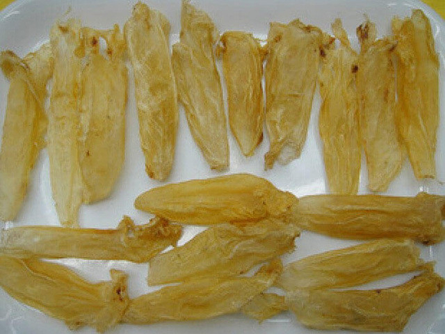 1kg bong bóng cá sủ vàng tươi giá có thể lên tới 45.000 - 55.000 USD/kg, tương đương từ 1 - 1,25 tỷ đồng/kg. Ảnh: Vietnamnet