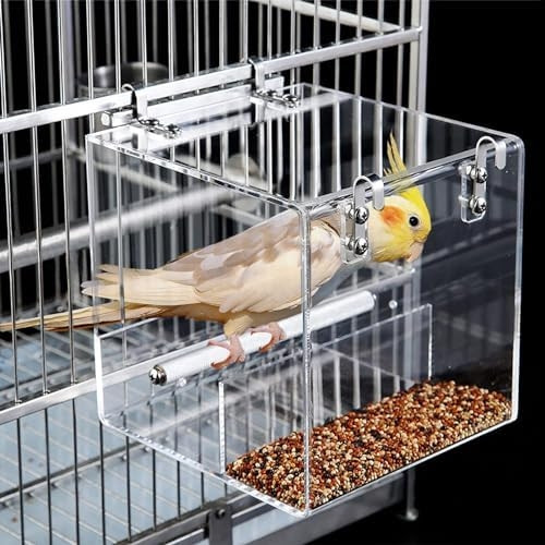 Những chú chim được vỗ béo bằng cách liên tục bị nhồi nhét các loại thức ăn bổ dưỡng như nho khô, quả sung, hạt kê. Ảnh: Amazon