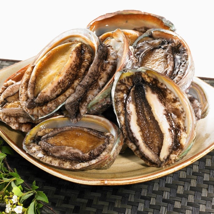 Bào ngư giá siêu rẻ size bé, chỉ khoảng 30-50 con/kg nên thịt mỏng, ăn không ngon. Trong khi đó, bào ngư Hàn Quốc size 12-13 con/kg, giá gần 900.000 đồng/kg. Ảnh: Hải sản Thanh Thiên