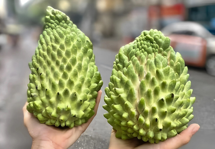 Nhưng năm nay, na sầu riêng được rao bán trên thị trường với giá rất rẻ, chỉ từ 60.000-65.000 đồng/kg loại 400-700g/quả. Ảnh: Vietnamnet