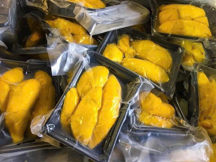 Musang King được mệnh danh là sầu riêng ngon nhất thế giới, có giá vô cùng đắt đỏ. Khi mới xuất hiện tại Việt Nam, cơm sầu riêng Musang King đông giá 1,4-1,8 triệu đồng/kg, gấp 4-5 lần so với các loại cơm sầu riêng Việt. Ảnh: Facebook