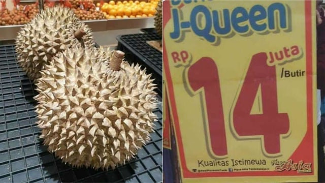 Sầu riêng J-Queen quả tròn, màu vàng, có vị bơ đậu phộng. Ảnh: Indonesia Expat.