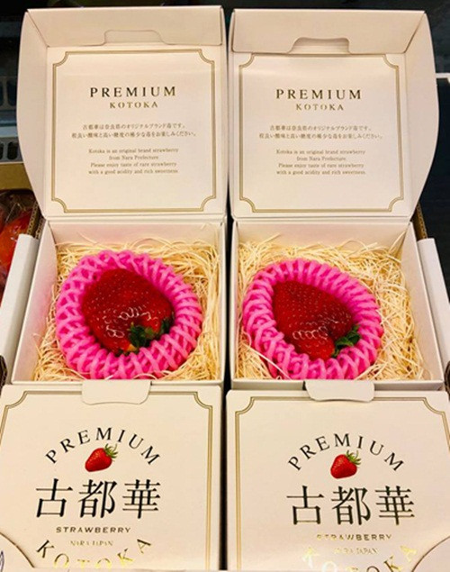 Dịp Valentine 2019 vừa qua, một đơn vị cung cấp hoa quả nhập khẩu giới thiệu món dâu tây Kotoka, xuất xứ từ Nhật Bản với giá 500.000 đồng/quả. Ảnh: Vnexpress.