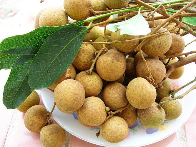 Tháng 10/2014, quyết định của Bộ Nông nghiệp Mỹ cho phép nhập khẩu quả nhãn từ Việt Nam chính thức có hiệu lực. Ảnh: Gov.