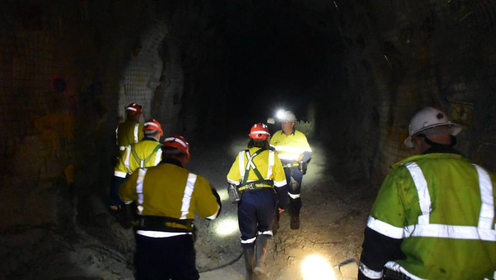 Được điều hành bởi Castlemaine Goldfields, mỏ vàng Ballarat thường xuyên có 161 thợ làm việc.